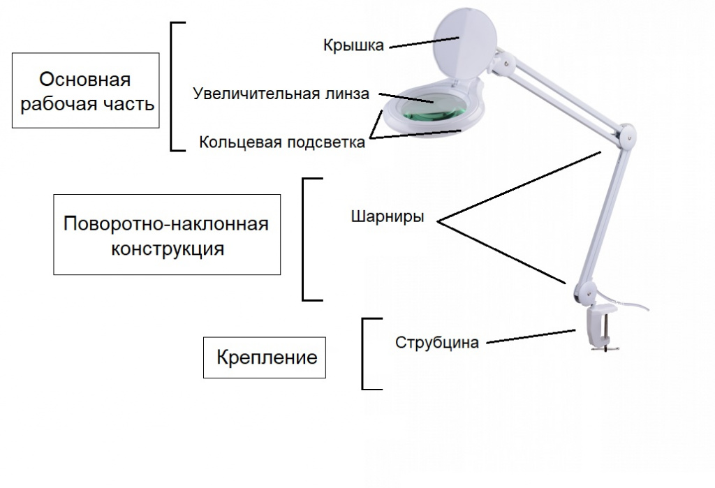 Строение лампы лупы.jpg